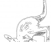 Coloriage Kangourou australien