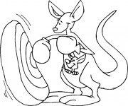 Coloriage Kangourou boxeur