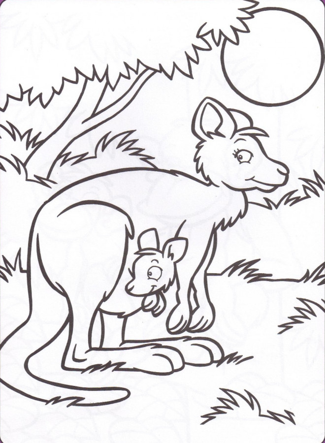Coloriage Kangourou dans la forêt dessin gratuit à imprimer