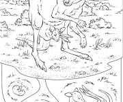 Coloriage Kangourou r&eacute;aliste