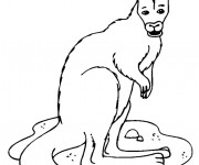 Coloriage Un Kangourou te regarde