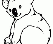 Coloriage Koala animal