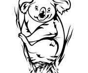 Coloriage Koala au crayon pour enfant