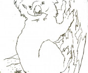 Coloriage Koala dessin r&eacute;el