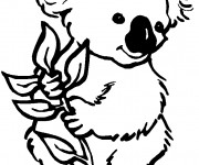 Coloriage Koala en couleur