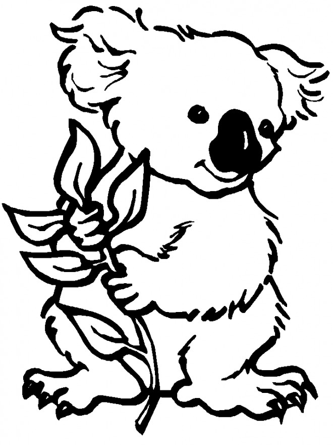 Coloriage Koala en couleur dessin gratuit à imprimer