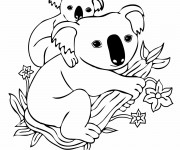 Coloriage Koala et son petit