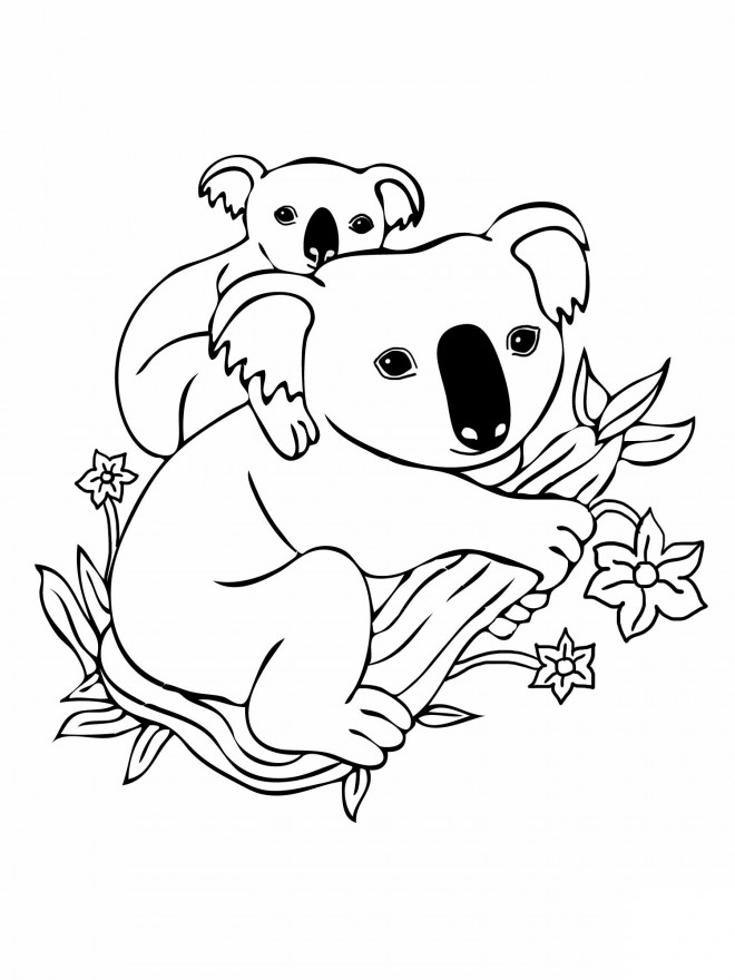 Coloriage et dessins gratuits Koala et son petit à imprimer