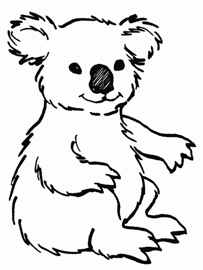 Coloriage Koala facile dessin gratuit à imprimer