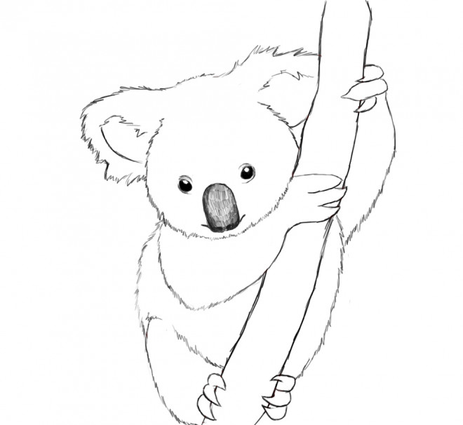 Coloriage Koala Mandala Dessin Gratuit à Imprimer