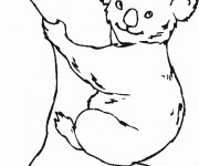 Coloriage et dessins gratuit Koala simple à imprimer