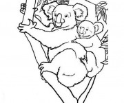 Coloriage M&egrave;re Koala et son petit en noir et blanc