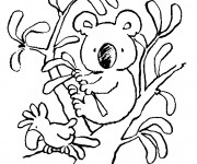 Coloriage Petit Koala sur les branches d'arbre