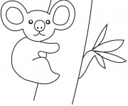 Coloriage Un Bébé Koala