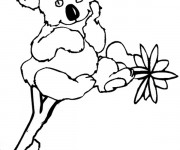 Coloriage Un Koala te regarde