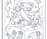 Coloriage Une maman Koala et son petit dans la nature