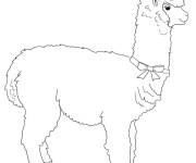 Coloriage Alpaga d&eacute;cor&eacute; par un n&oelig;ud