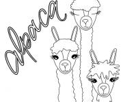 Coloriage Alpaga lama