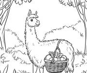 Coloriage Animal Lama