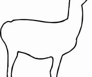 Coloriage Contour Lama