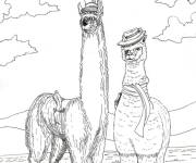 Coloriage Deux lamas portant des chapeaux