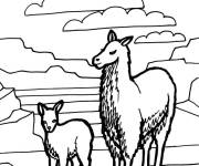 Coloriage Famille de Lamas dans la montagne