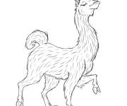 Coloriage La fiert&eacute; du Lama