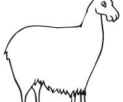 Coloriage Lama &agrave; fourrure