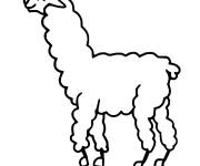 Coloriage et dessins gratuit Lama &agrave; long cou à imprimer
