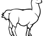Coloriage et dessins gratuit Lama adulte à imprimer