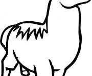 Coloriage Lama adulte en noir et blanc