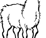 Coloriage Lama au crayon noir