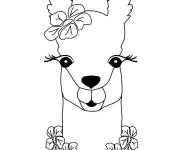 Coloriage Lama aux beaux yeux