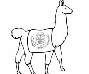 Coloriage Lama avec le drapeau du P&eacute;rou 