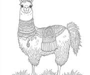 Coloriage Lama avec un beau &eacute;charpe