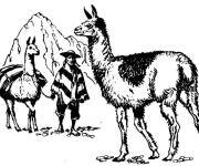 Coloriage Lama comme un moyen de transport