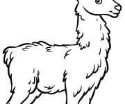 Coloriage Lama de cartoon