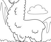 Coloriage Lama de montagne en fiert&eacute;