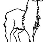 Coloriage Lama des animaux mignons