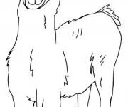 Coloriage Lama dessin&eacute; par un petit enfant