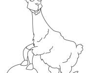 Coloriage Lama dr&ocirc;le au crayon