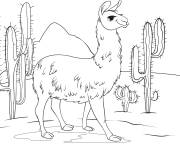Coloriage Lama en ligne cp