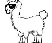 Coloriage Lama en lunettes solaires