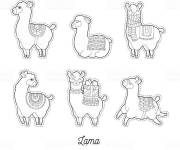 Coloriage Lama en plusieurs positions