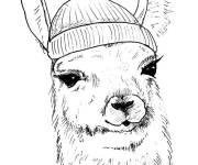 Coloriage Lama en portant un bonnet