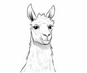 Coloriage Lama en portrait r&eacute;aliste