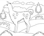 Coloriage Lama parmi les arbres