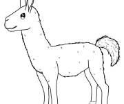 Coloriage Lama pour les toddlers