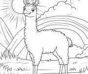 Coloriage Lama sous le soleil