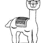 Coloriage Lama t'observe